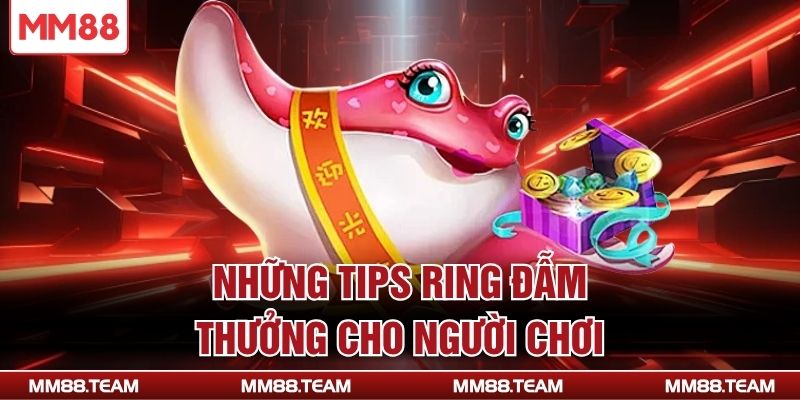 Những tips ring đẫm thưởng cho người chơi